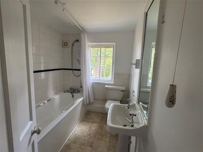 Picture 23